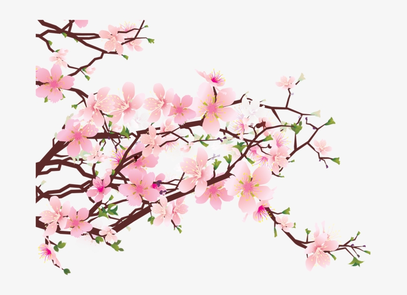 Cherry Blossom Png - Cherry Blossom Art Png, transparent png