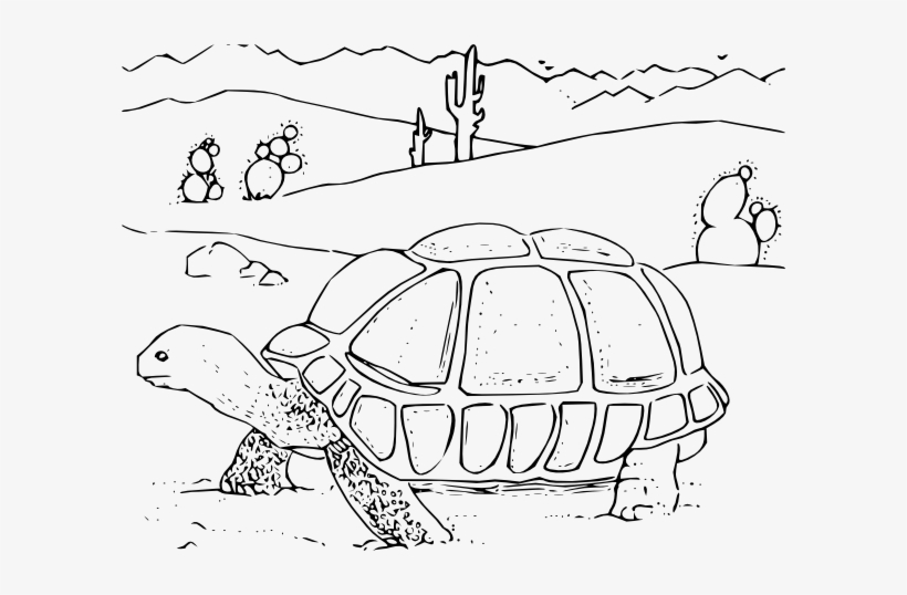 Coloring Book Desert Tortoise Svg Clip Arts 600 X 458, transparent png