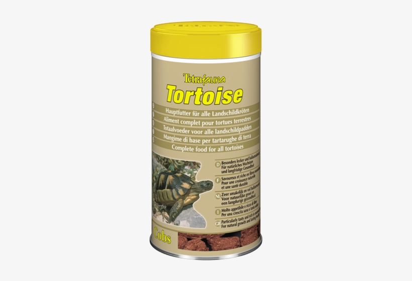 Turtle, transparent png