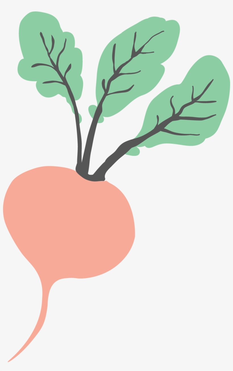 Beet, transparent png