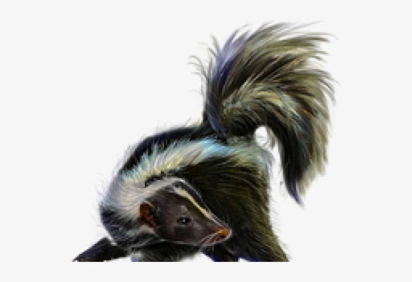Skunk Png Transparent Images - Stinkdier Png, transparent png