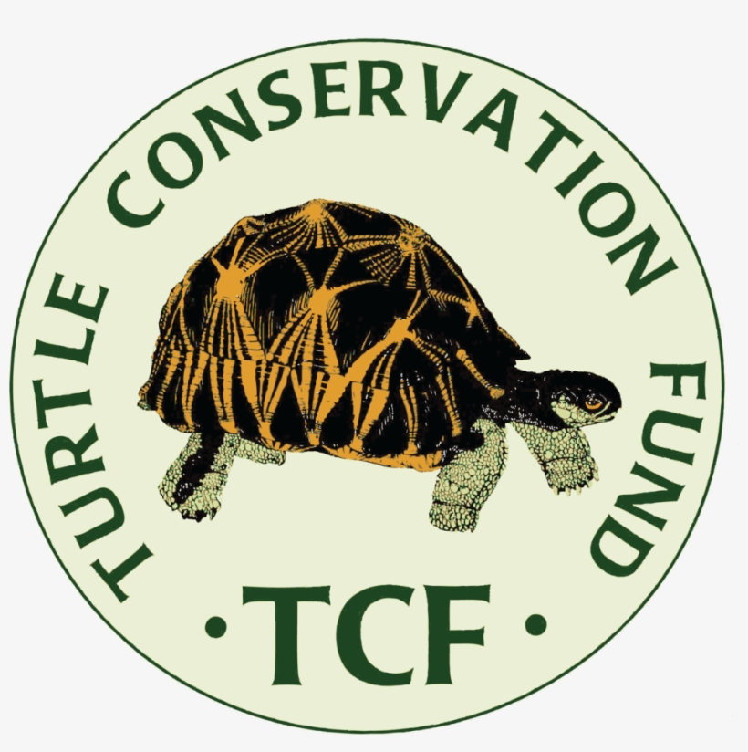 The Turtle Conservation Coalition - Turtle Conservation Fund Logo, transparent png