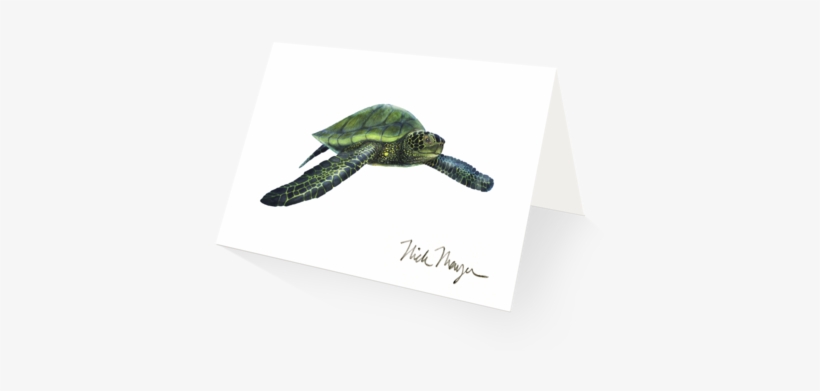 Green Sea Turtle - Wild Oceans Coloring Book: Saltwater Fish And Deep, transparent png