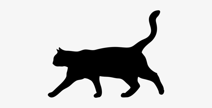 Cat Animal The Silhouette Domestic Cat Kit - Cat Clip Art, transparent png