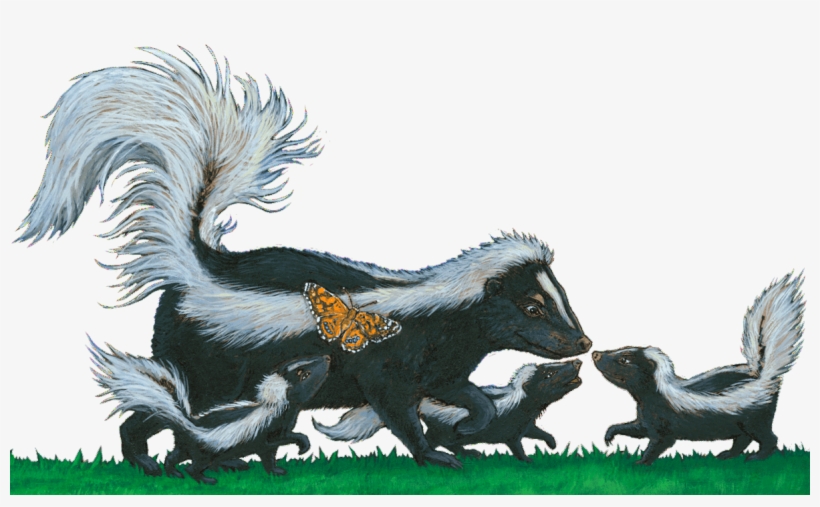 Order Your Copy Of "is That A Skunk" Now At - Children's Literature, transparent png