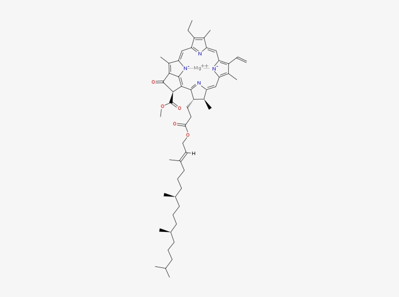 Chlorophyll Pickup In Extractions - Structure Of Chlorophyll B, transparent png