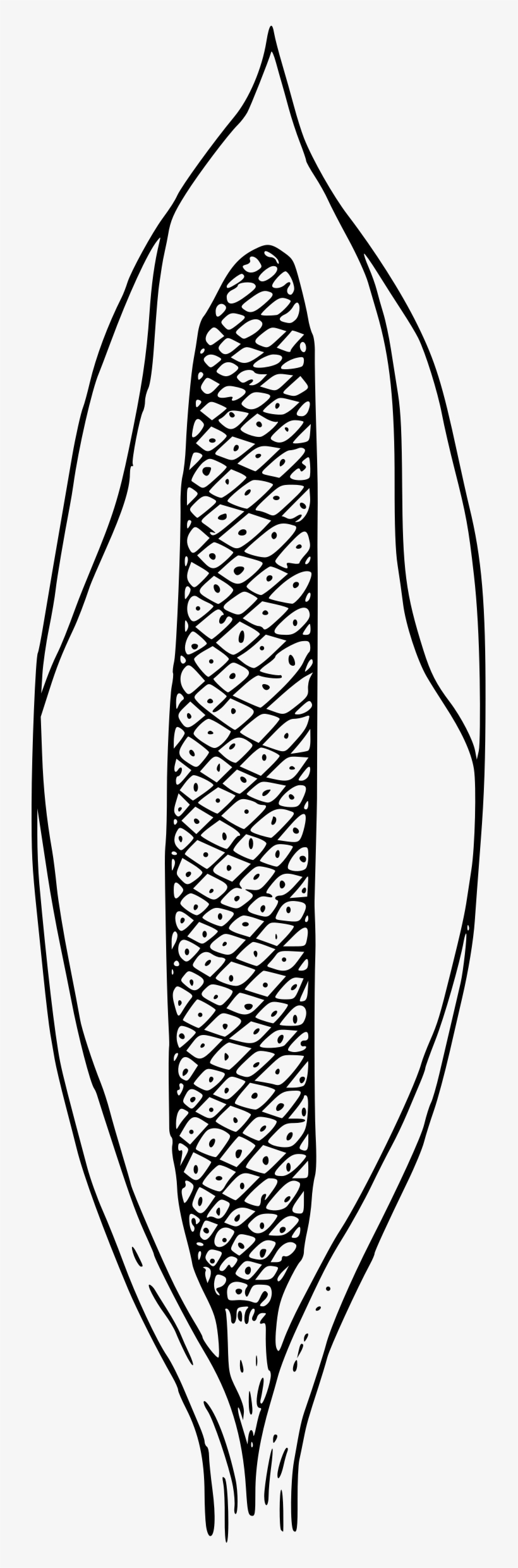 This Free Icons Png Design Of Skunk Cabbage, transparent png