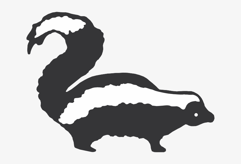 Stripes, Art, Skunk, Animal, Fur - Skunk Clip Art, transparent png