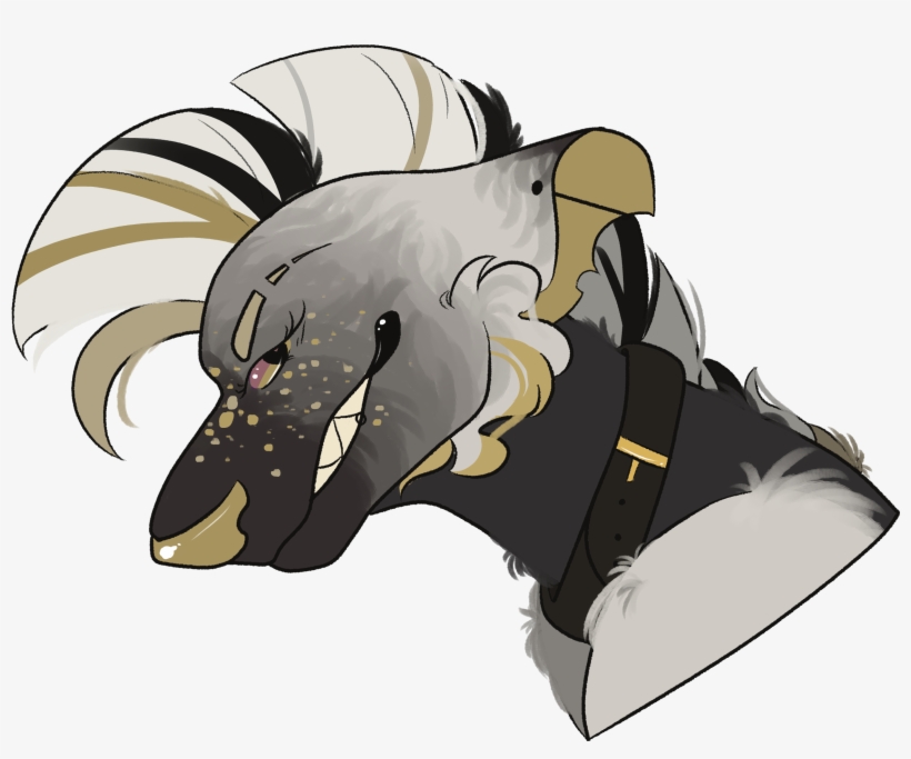 Details - Armadillo, transparent png