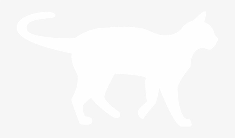 Soft-coated Wheaten Terrier, transparent png