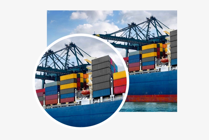Parent Directory - International Trade Law Statutes And Conventions 2016-2018, transparent png