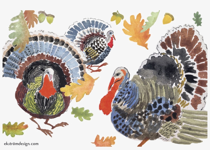 Turkey Bird Png Transparent Image - Domesticated Turkey, transparent png
