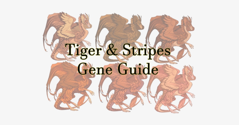 This Guide Is A Showcase Of Tiger And Stripes On All - Amethyst Dragon Shower Curtain, transparent png
