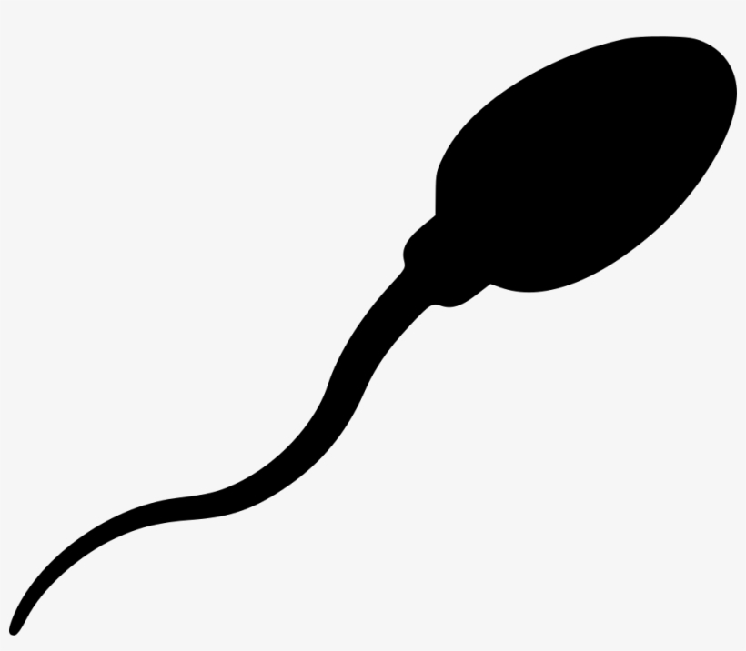 Png File Svg - Sperm Vector, transparent png