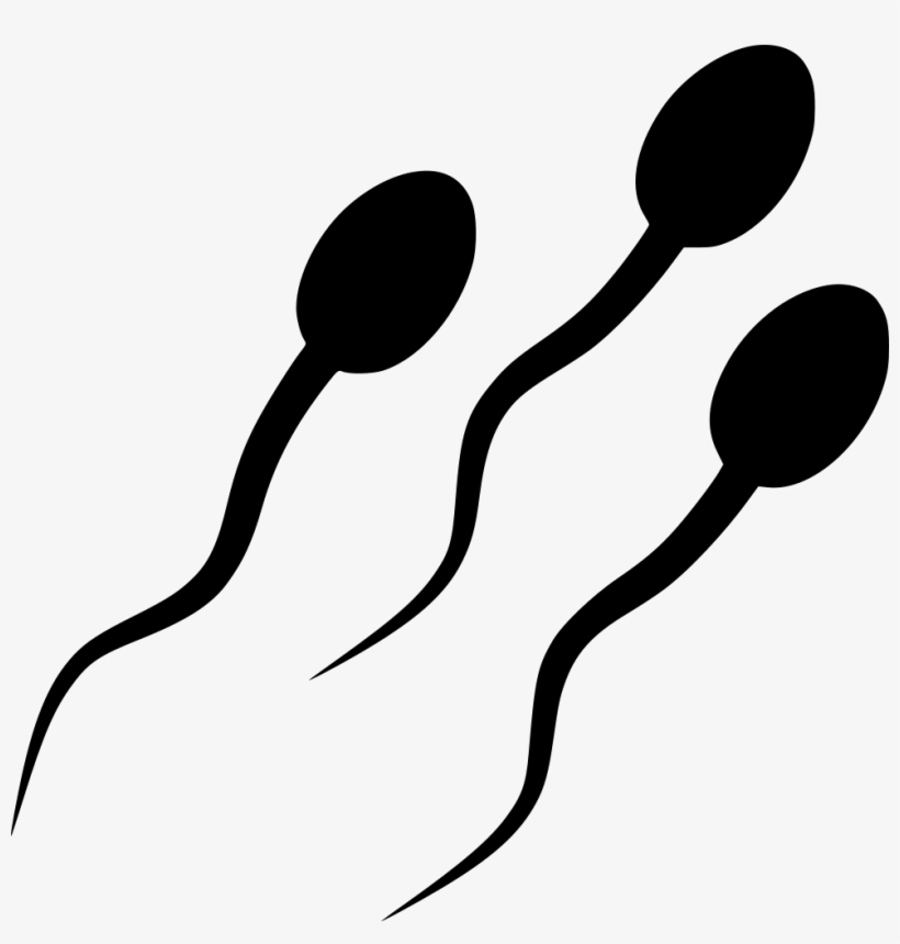 Png File - Sperm Svg, transparent png