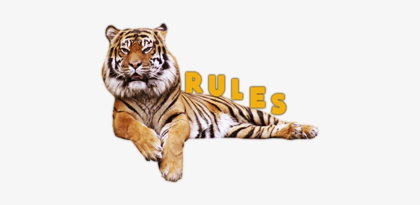 I Do Not Tolerate Rushing - Les Animaux De La Jungle // Dvd Culture Neuf Sous Cello, transparent png