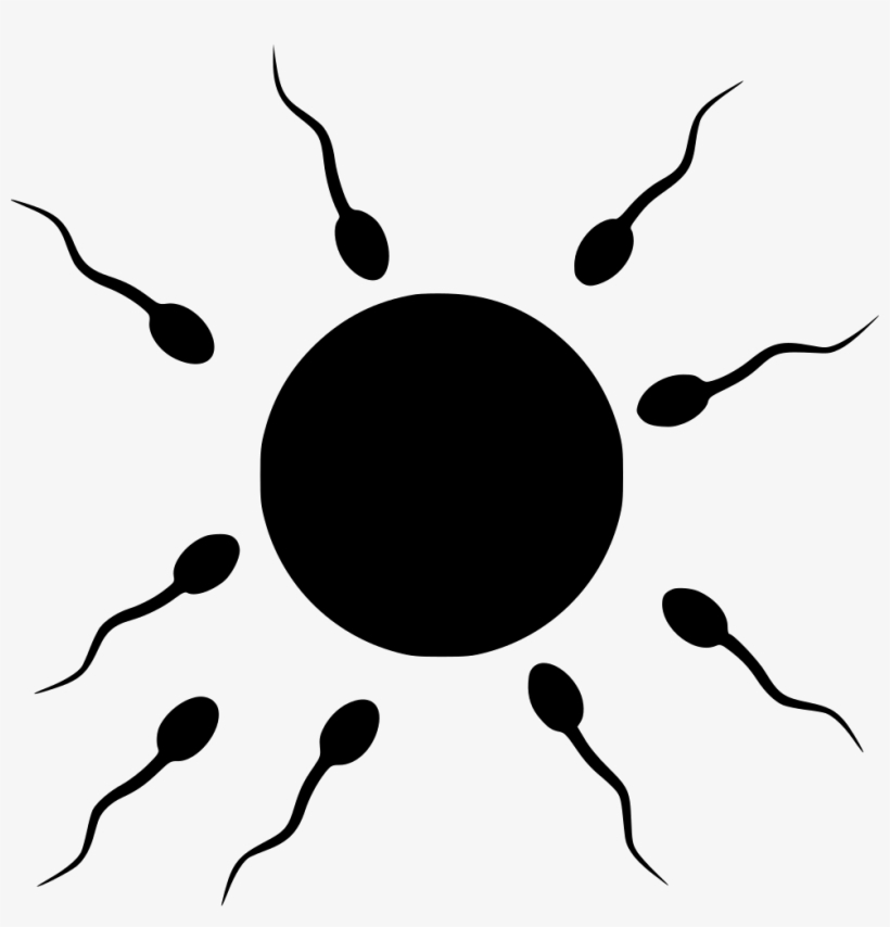 Png File - Sperm And Egg Png, transparent png