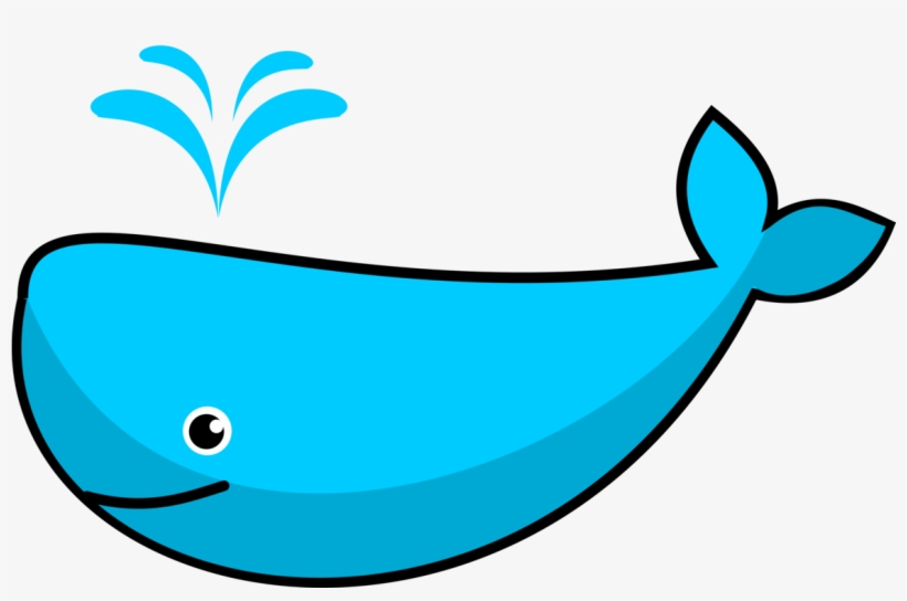 Sperm Whale Killer Whale Cetacea Blue Whale Walliams - Whale Clipart Png, transparent png