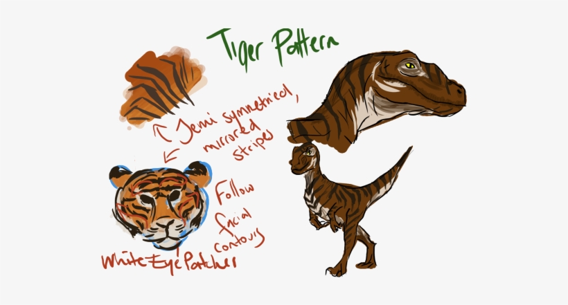 I Tried To Use The 'ghost Face' Look Of The Barn Owl - Bengal Tiger, transparent png