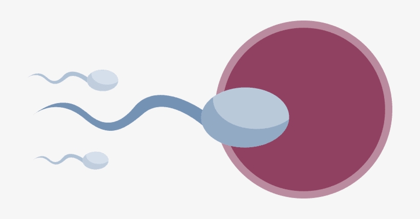 In Men, Many Toxins Found In A Cigarette Can Affect - Floorplan Tell You No Lie, transparent png