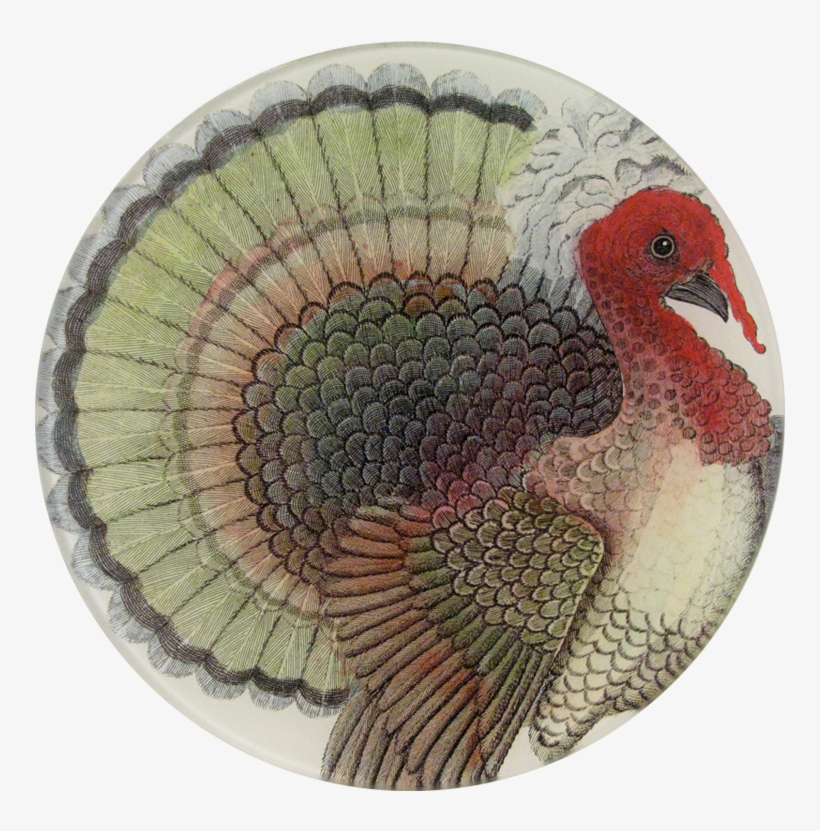 Holiday, transparent png