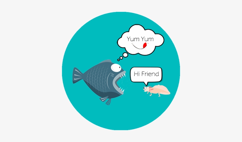 Can Axolotl Live With Fish - Axolotl, transparent png