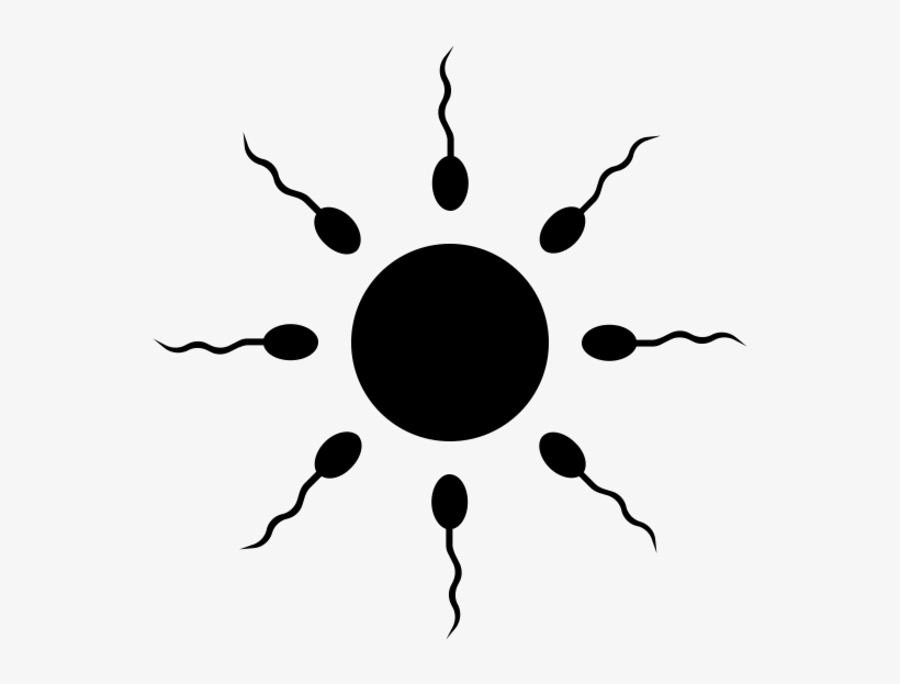Fresh Concentrate Vc, transparent png