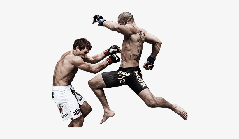 Ea Sports Ufc Png Background Image - Ufc Transparent Background, transparent png