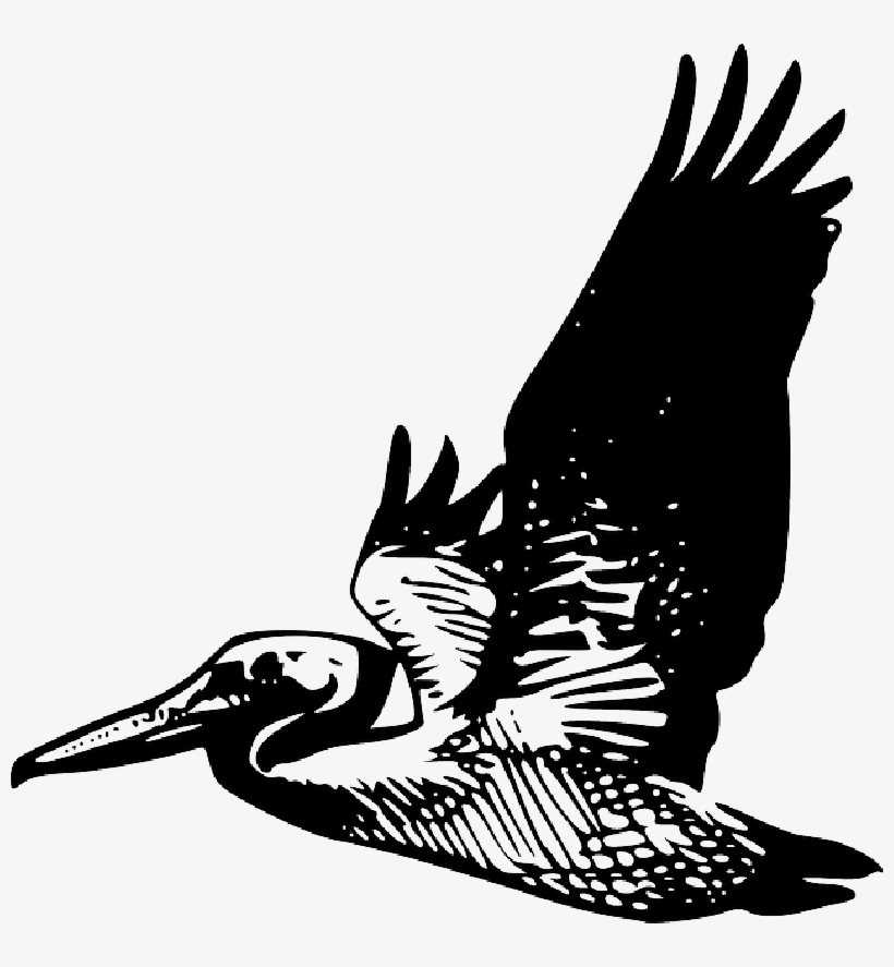 Animals, Silhouette, Cartoon, Birds, Bird, Flying - Pelican Clip Art, transparent png