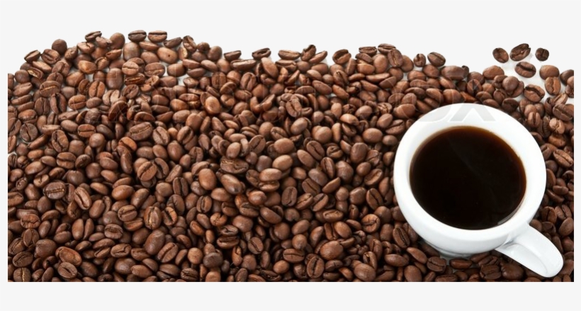 800 × - Coffee Beans White Background Png, transparent png