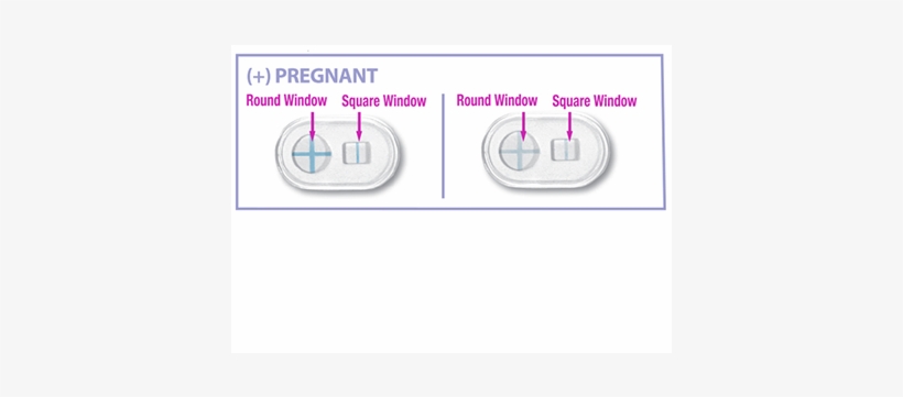 A Sign In The Round Window Indicates A “pregnant” Result - Circle, transparent png