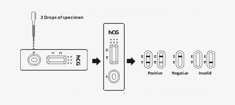 Rapid Diagnostic Test, transparent png