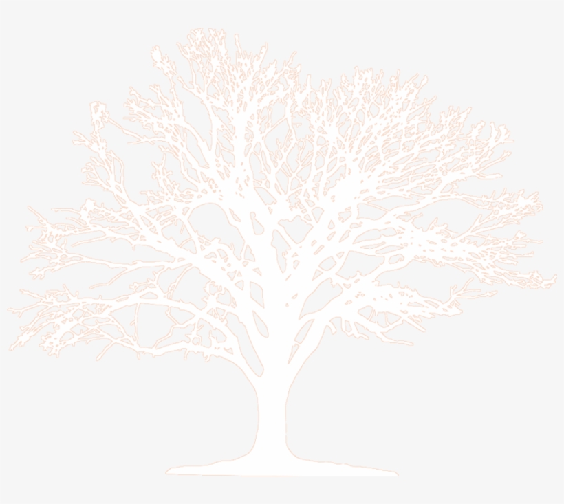 Join The People Of Congo Basin And Share Your Wish - Crochet Snowflakes, transparent png