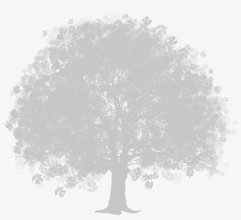 Tree Clipart, transparent png