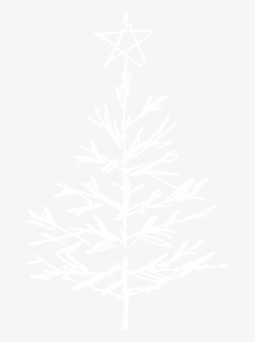 Fresh Cut Trees - Christmas Tree, transparent png