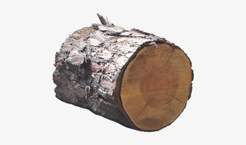 Png, Trunk, Lena, Tree - Tronco Png, transparent png
