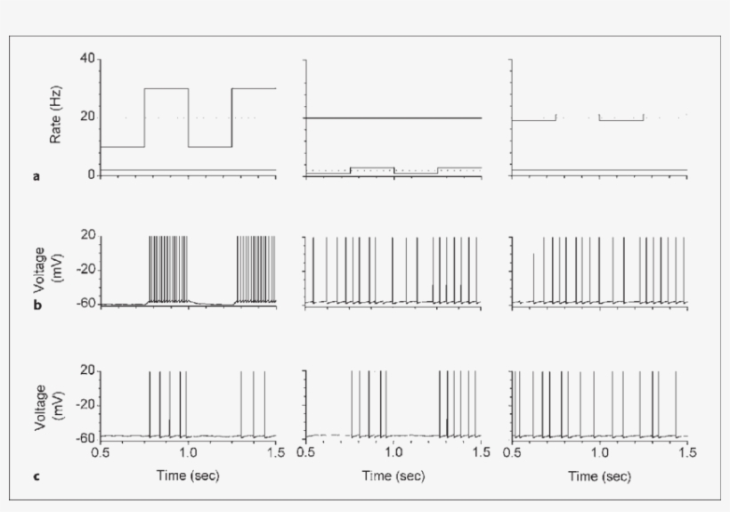 Effect Of The Stp On The Output Of An Integrate And - Calligraphy, transparent png