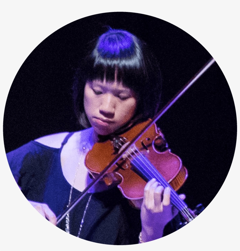 Violin, transparent png