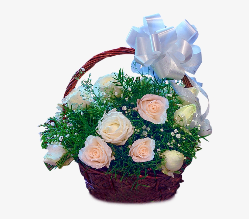 24 White Roses Basket - Rose, transparent png