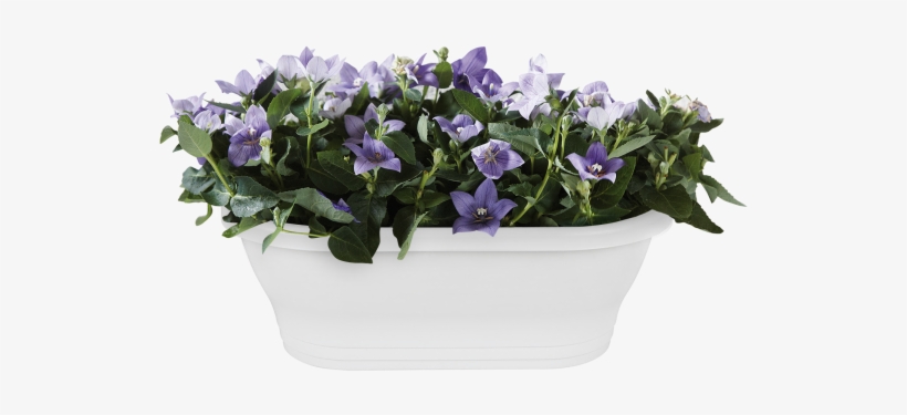 Home > Collection > Corsica Wall Basket - Corsica Wall Basket 39cm Anthracite, transparent png