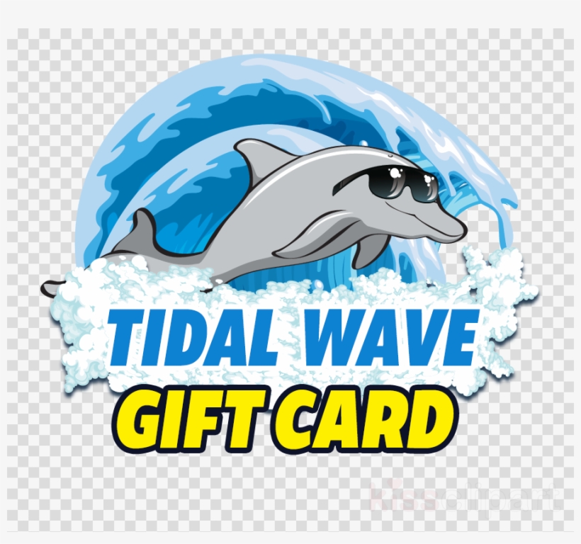 Gift Card Clipart Common Bottlenose Dolphin Logo - Tidal Wave Auto Spa, transparent png