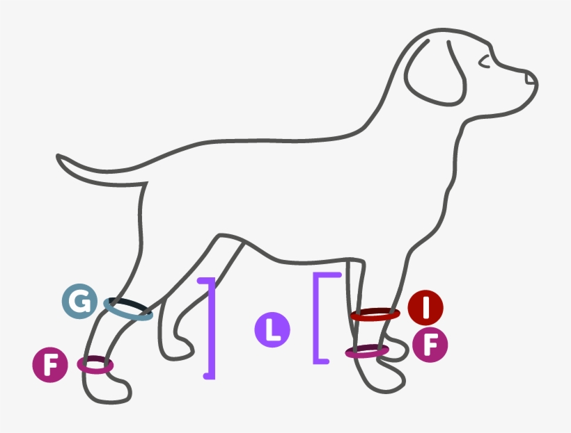 F - Elbow, transparent png