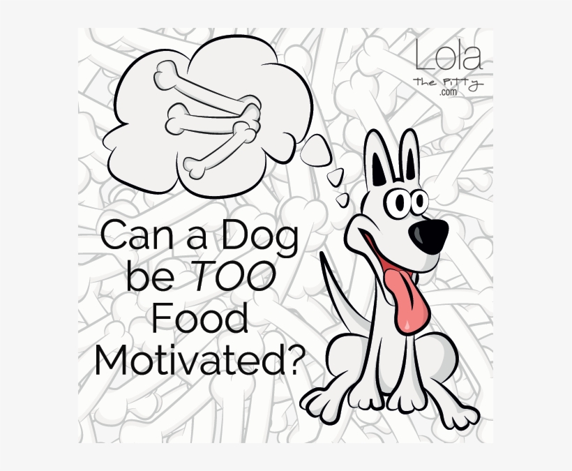 Can A Dog Be Too Food Motivated - Dog, transparent png