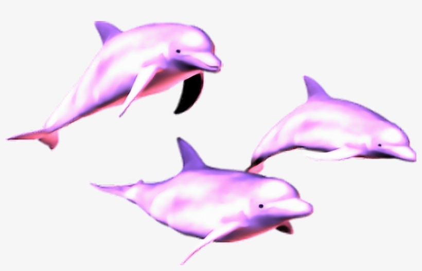 Mq Pink Dolphin Dolphins Animal - Dolphin Vaporwave, transparent png