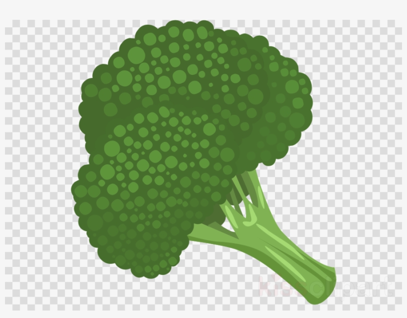 Broccoli Icon Png Clipart Broccoli Slaw Clip Art - Clip Art Broccoli Clipart, transparent png