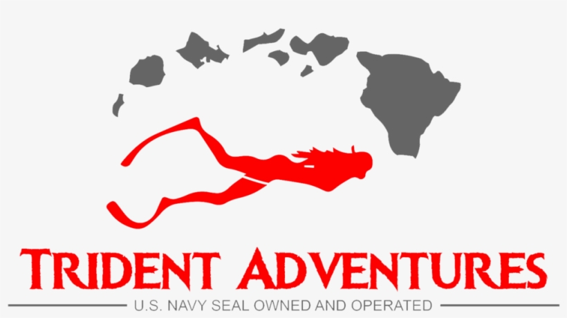 Trident Logo Final 2019 V1 - O'ahu, Hawaii - Home State - Gray On White - Lantern, transparent png