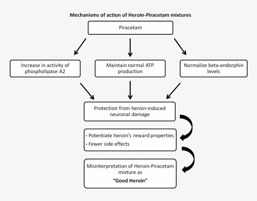 Unsurprisingly, Piracetam Mitigates Some Of The Negative - Piracetam Mechanism Of Action, transparent png