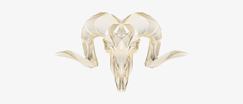 Click And Drag To Re-position The Image, If Desired - Argali, transparent png