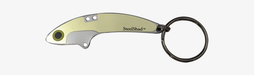 Steelshad Gold Key Ring - Keychain, transparent png