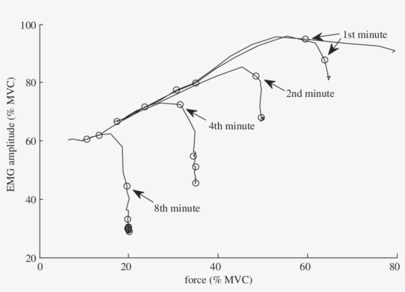 The Relations Between Force And Emg Amplitude In Sustained - Map, transparent png